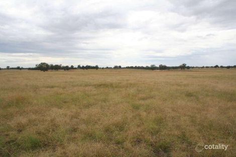 Property photo of 111 Berrawinnia Place Dubbo NSW 2830