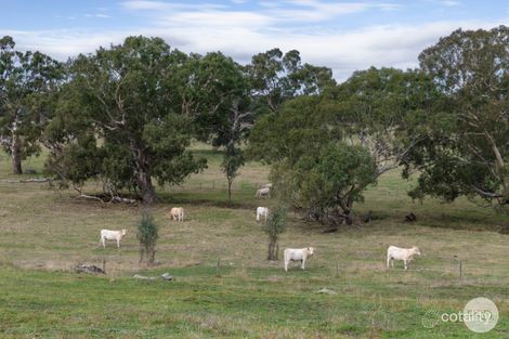 Property photo of 241 Browns Road Burnbank VIC 3371