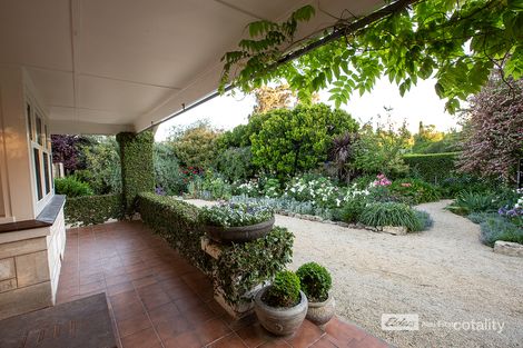 Property photo of 45 Butler Terrace Naracoorte SA 5271