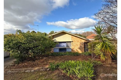 Property photo of 21 Wilks Avenue Kooringal NSW 2650