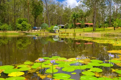 15 ARBORSEVENTEEN RD, GLENWOOD, QLD 4570