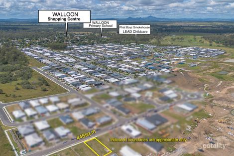 Property photo of 28 Banjo Drive Walloon QLD 4306