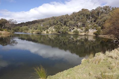 1924 Emmaville Rd, Reddestone, NSW 2370