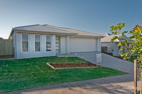 35 Reedy Cres, Redbank Plains, QLD 4301