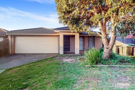 11 Palkarra Ct, Skye, VIC 3977