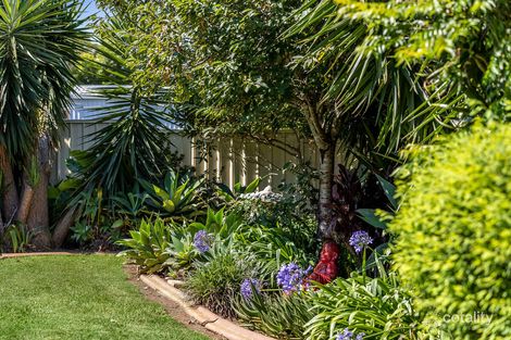 Property photo of 38 Marsala Court Wilsonton Heights QLD 4350
