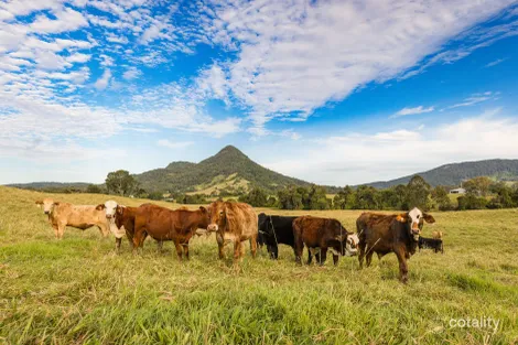 Property photo of 76 Mineshaft Road Eerwah Vale QLD 4562