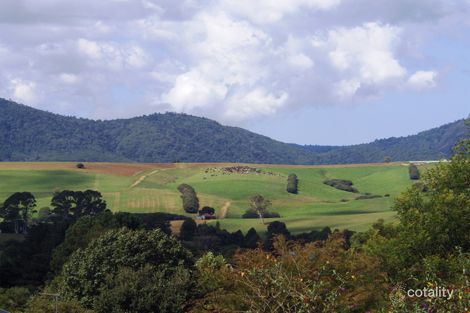 Property photo of 3 Walnut Close Dorrigo NSW 2453