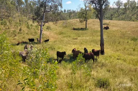 Property photo of 542 Gillens Siding Road Moolboolaman QLD 4671