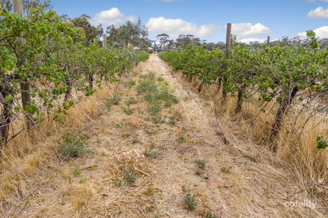 Lot 225 Sawmill Rd, Huntly, VIC 3551