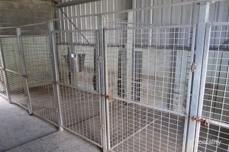 392 Racecourse Rd, Tygalgah, NSW 2484