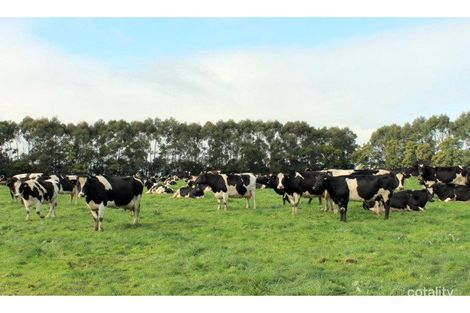 515 Tomahawk Creek Rd, Irrewillipe, VIC 3249