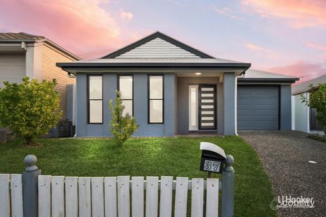 37 Mondial Dr, Warner, QLD 4500