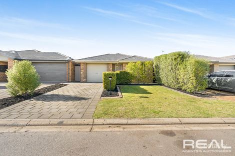 23 Nybo Ct, Munno Para West, SA 5115