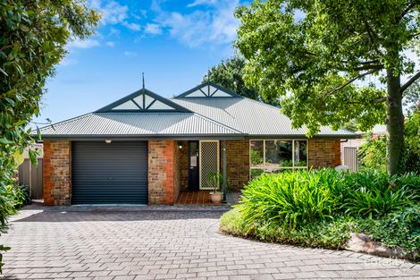 Property photo of 6 Dolling Court Athelstone SA 5076