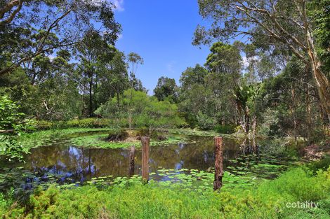 Property photo of 666 Eumundi Noosa Road Doonan QLD 4562