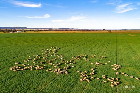 58 Sugarloaf Lane, Canowindra, NSW 2804