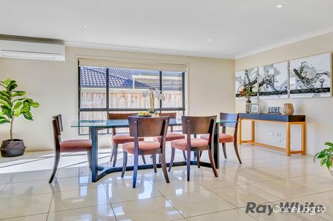Property photo of 11 Singleton Place Carseldine QLD 4034