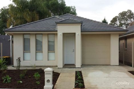Property photo of 17 Basnett Street Kurralta Park SA 5037