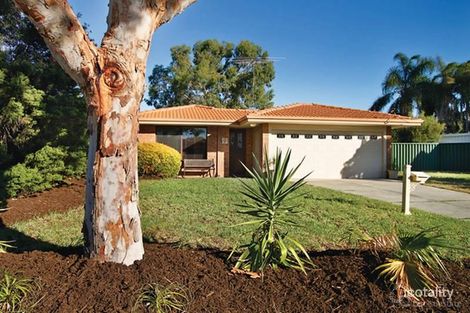 9 Dimitrios Ct, Hocking, WA 6065