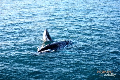 Property photo of 10 Peninsula Drive Hay Point QLD 4740