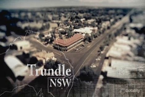 22-40 Forbes St, Trundle, NSW 2875