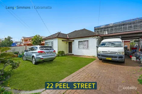 22 Peel St, Canley Heights, NSW 2166