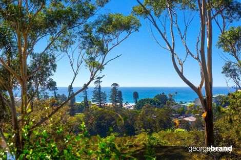 Property photo of 103 Hillside Road Avoca Beach NSW 2251