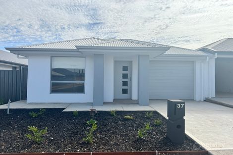 37 Maiolo Cres, Blakeview, SA 5114