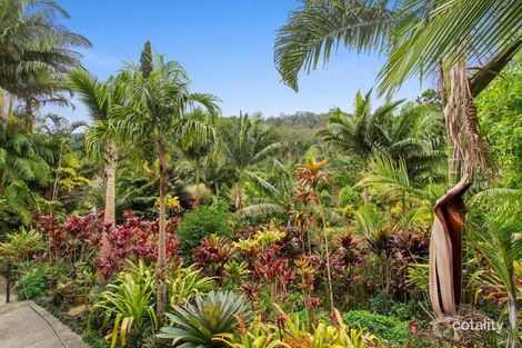 Property photo of 398 Harper Creek Road Conondale QLD 4552