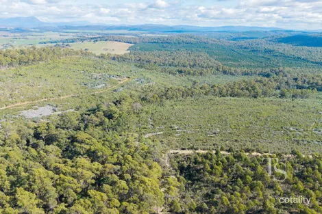 Property photo of Bradys Creek Road Parkham TAS 7304