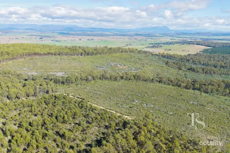 Property photo of Bradys Creek Road Parkham TAS 7304