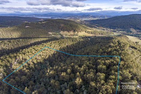 199 Batchelors Rd, Nicholls Rivulet, TAS 7112