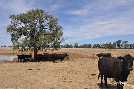 Property photo of 196 Old Mill Road Balladoran NSW 2822