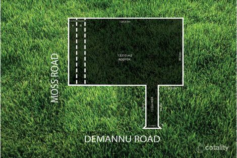 Property photo of 41 De Mannu Road Munno Para Downs SA 5115