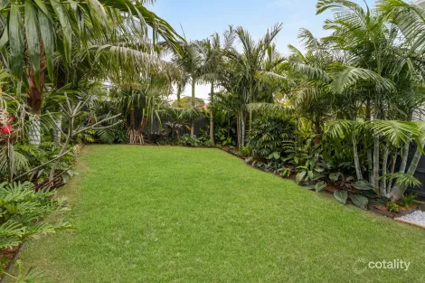 Property photo of 29 Raven Street Camp Hill QLD 4152
