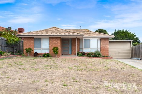 Property photo of 11 Peppermint Grove Meadow Heights VIC 3048