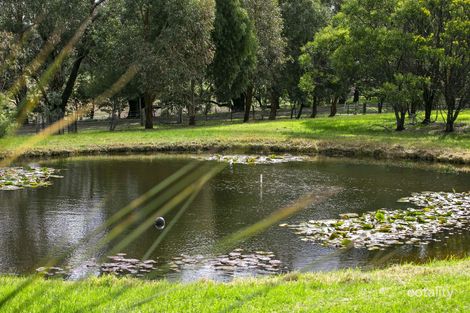 114 Rhinds Rd, Wallington, VIC 3222