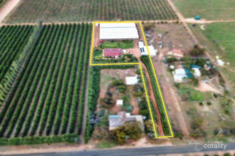 Property photo of 93 Cox Road Sunlands SA 5322