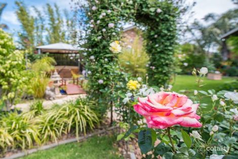 Property photo of 17 Elberry Close Moana SA 5169