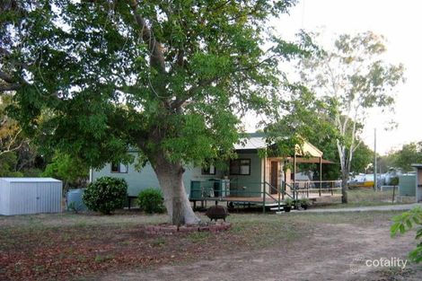 Property photo of 43 Molloy Crescent Nome QLD 4816