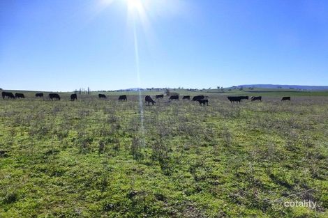 Property photo of 155 Crescent Orchard Road Gemalla NSW 2795