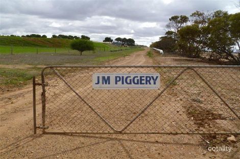 297 Cemetery Hill Rd, Cummins, SA 5631