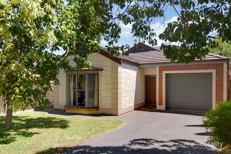 299 Beulah Rd, Kensington Park, SA 5068