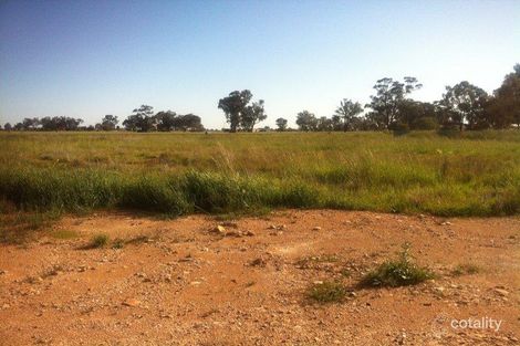 Property photo of 13 Talbot Street Quandialla NSW 2721