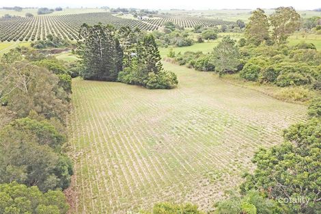 Property photo of 73 Anderson Road Peeramon QLD 4885