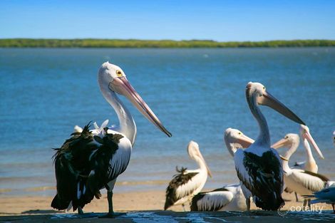 Property photo of 134 Esplanade Golden Beach QLD 4551