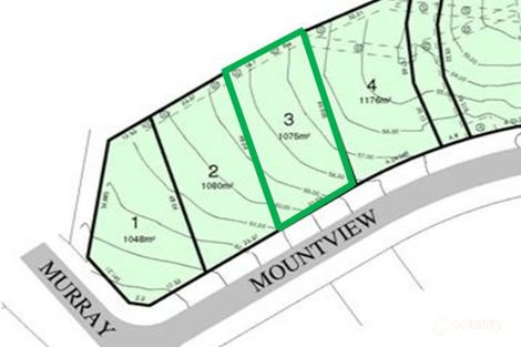 3 Mountview Ave, Wingham, NSW 2429