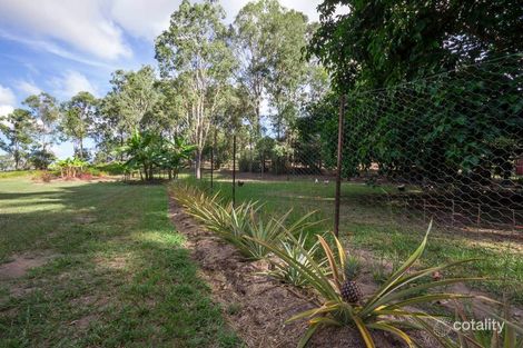 Property photo of 30 Jim Weir Road Julatten QLD 4871