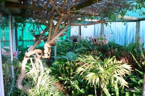 Property photo of 5 Chambers Street Beachport SA 5280